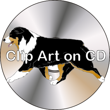 Australian Shepherd Shop Argostar Dog Art - Australian Shepered Dog Clipart (376x376)