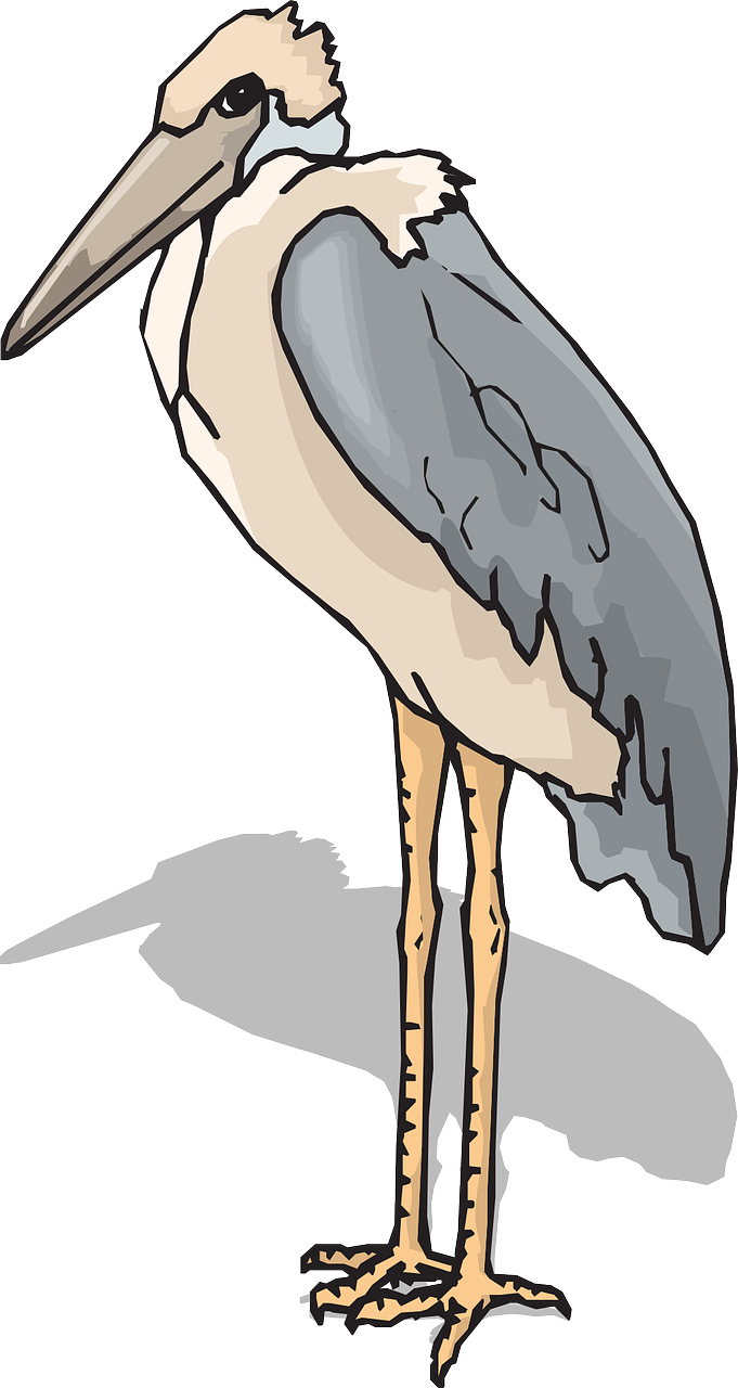Bird Wings Leg Standing Stork Png Image - Draw A Marabou Stork (681x1280)