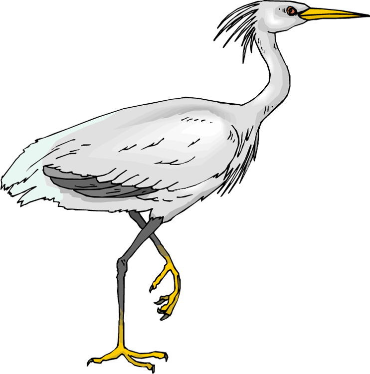 White Crane Bird Clip Art - Heron Clipart (742x750)