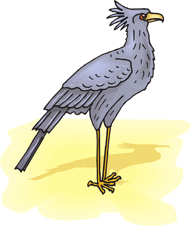 Flying Birds Gif Transparent 25, Buy Clip Art - Secretary Bird Transparent (609x720)