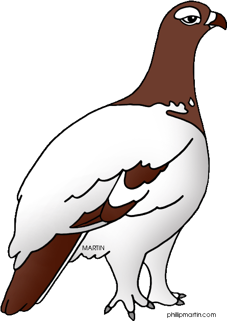 State Bird Of Alaska Willow Clipart - State Bird Of Alaska (469x648)