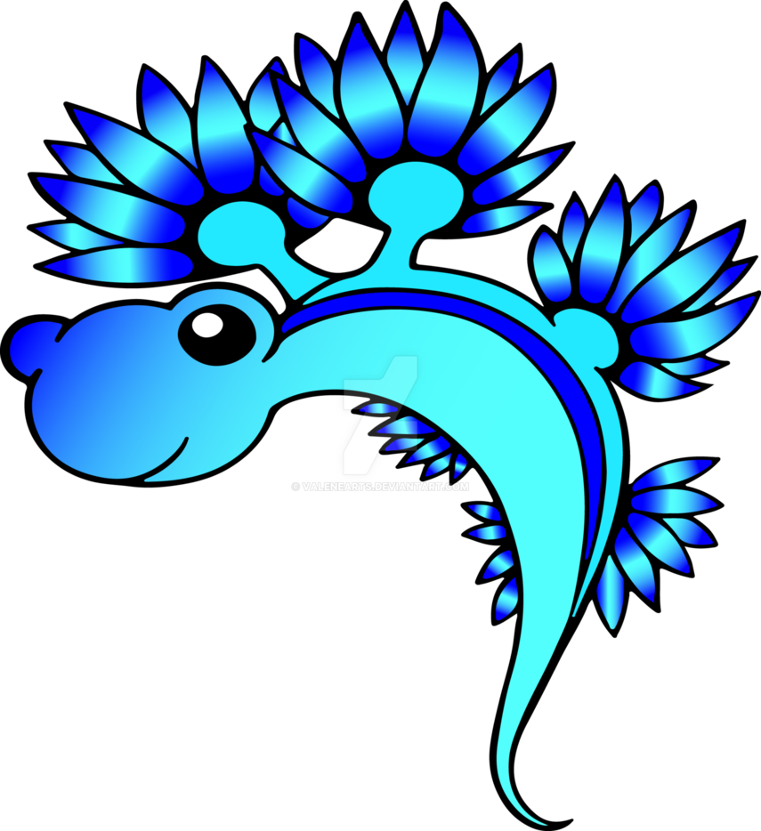 Blue Dragon Sea Slug By Valenearts - Blue Glaucus (855x934)