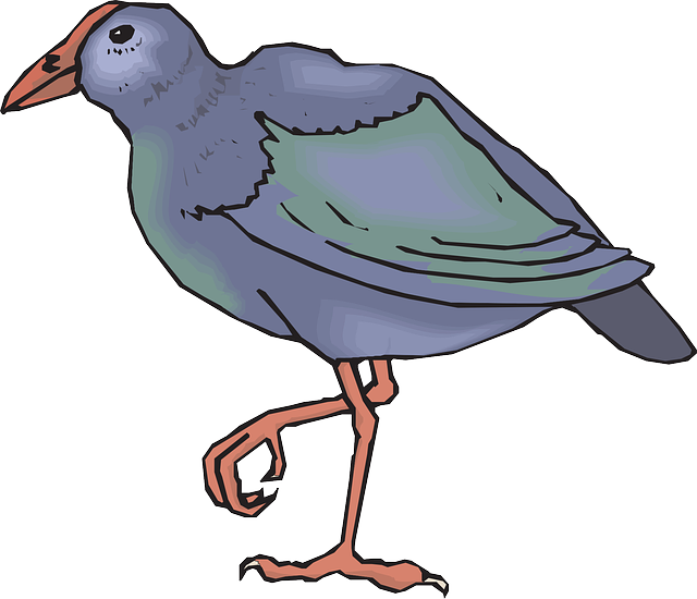 Bird, Wings, Leg, Animal, Feathers, Bent, Legs - Piernas Animales (640x550)
