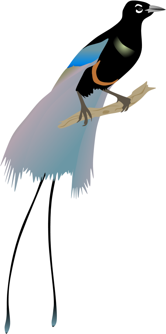 Blue Bird Of Paradise By Adamzt2 - Zt2 Bird Of Paradise (546x1097)