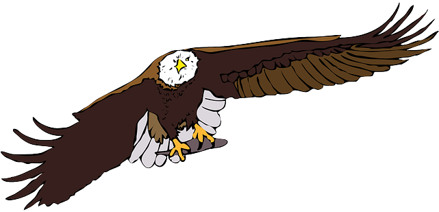 Animals, Birds, Bird, Aquila, Animate, Animal - Aquila Cartoon (718x340)