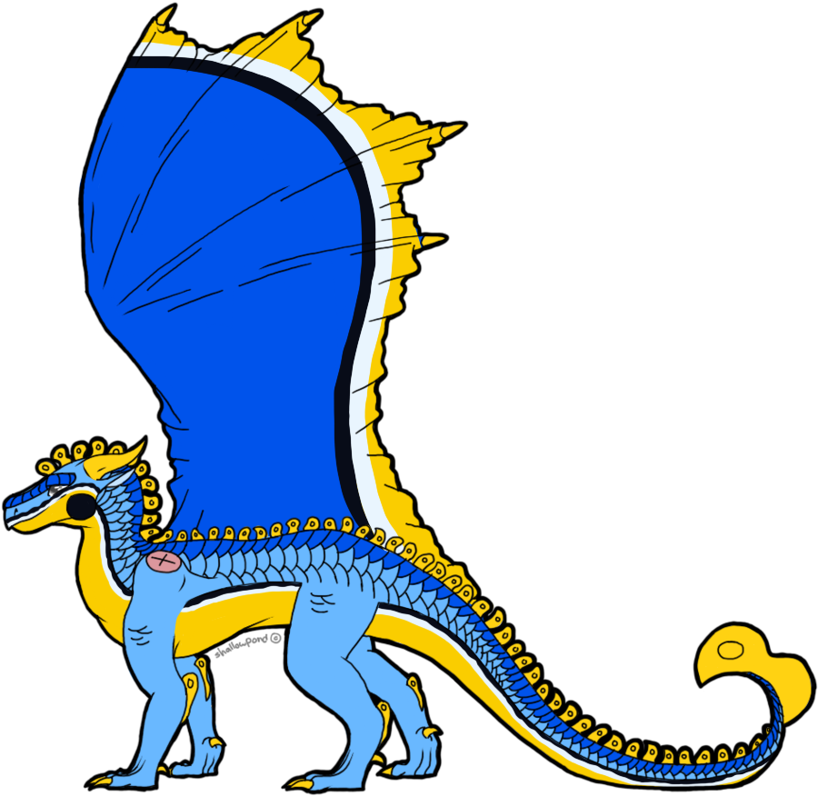 Seaslug By Shallowpond - Seaslug By Shallowpond (906x881)