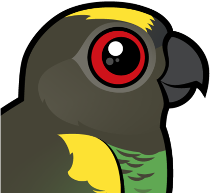 Parrot Clipart Small Parrot - Zazzle Meyer's Parrot Key Ring (440x440)