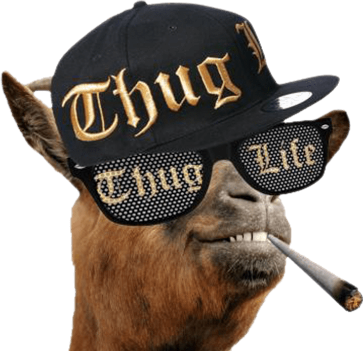 Descargar - Thug Life Glasses Meme (900x800)
