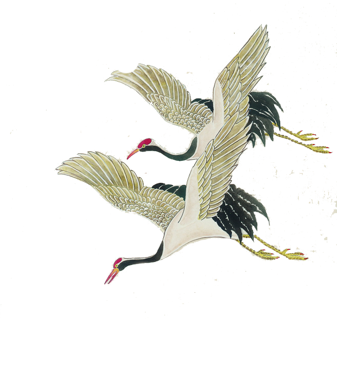 Bird Red-crowned Crane Painting Illustration - Red Crowned Crane Painting (658x772)
