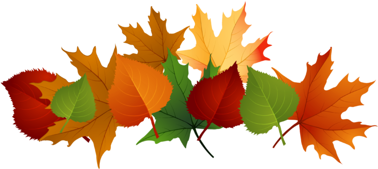 Fall Leaves Clip Art (768x368)