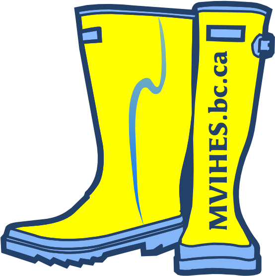 Boot - Mid Vancouver Island Habitat Enhancement Society (600x600)