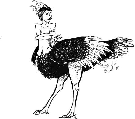 Ostrich By Drosera-sundews - Bird Centaur (540x432)