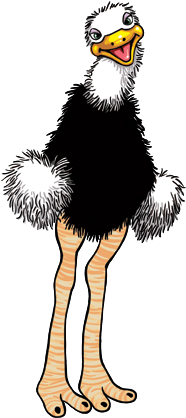 02 Noiembrie - Bald Eagle (300x424)