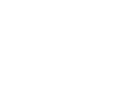 Ostrich Silhouette Pillow Case (420x300)