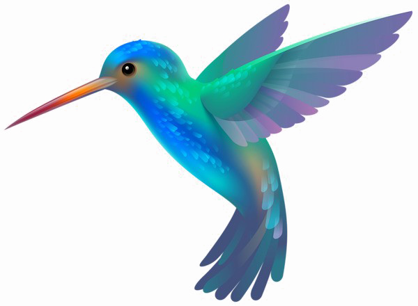 Kingfisher Bird Png Image - Hummingbird Png (600x440)