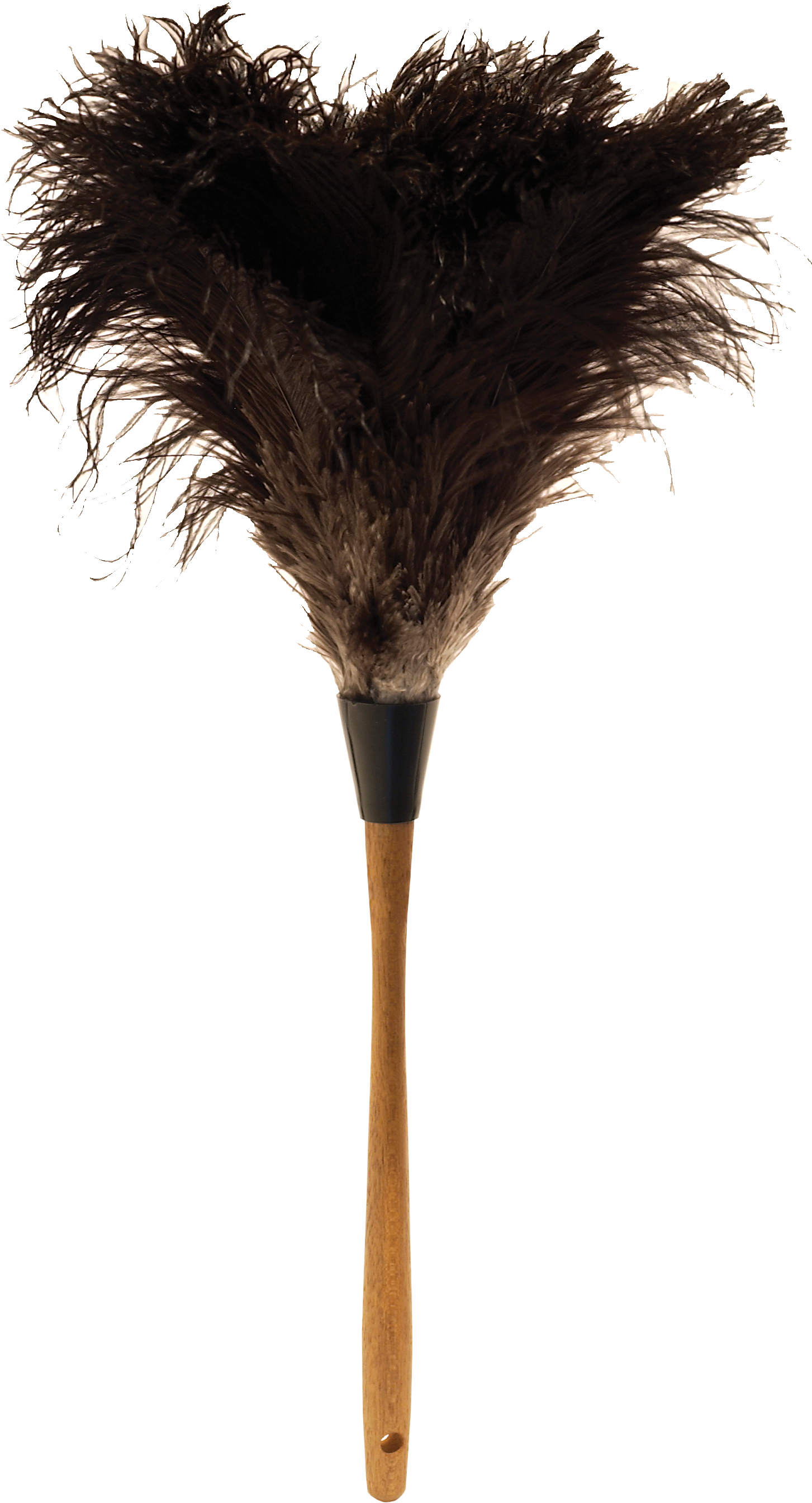 20” Ostrich Feather Duster - Ostrich Feather Duster Png (1500x2908)