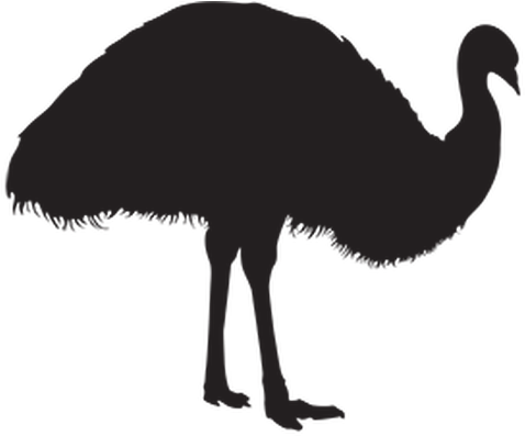 Emu Clipart Silhouette - Silhouette Of A Emu (555x399)