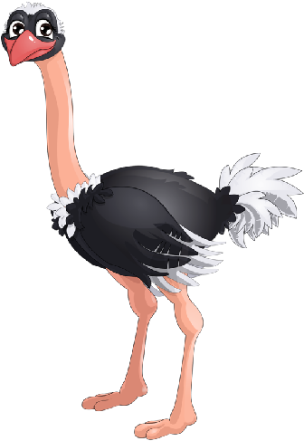 Ostrich Clipart - Ostrich Clipart (500x500)