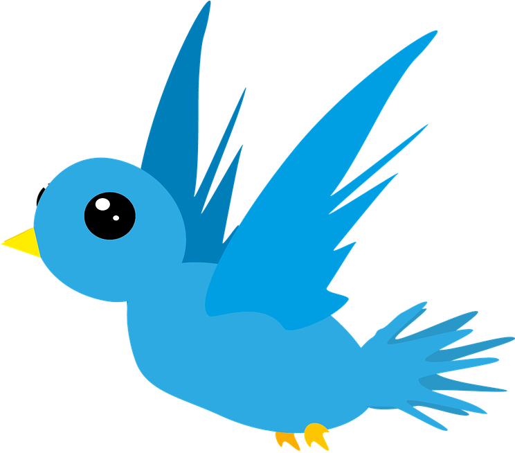 Jay Clipart Small Bird - Bird Clipart (743x720)