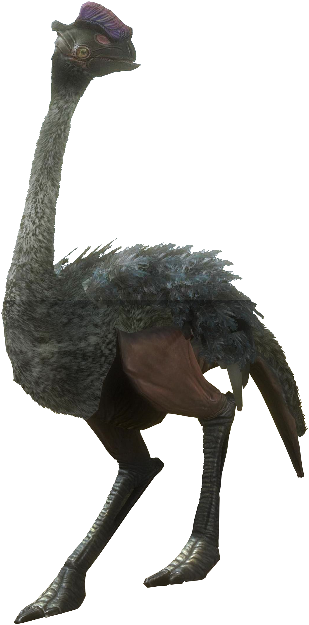 View Samegoogleiqdbsaucenao Moa Outline , - Ibis (1088x2156)