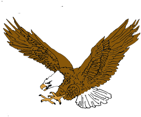 Chipeta Elementary School - Golden Eagle (700x452)