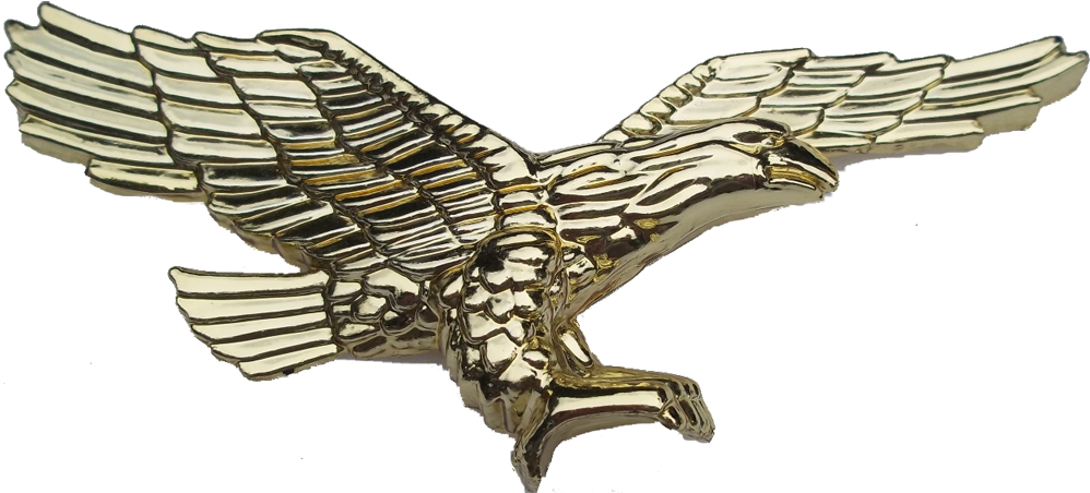 Eagle - Osprey (1023x468)