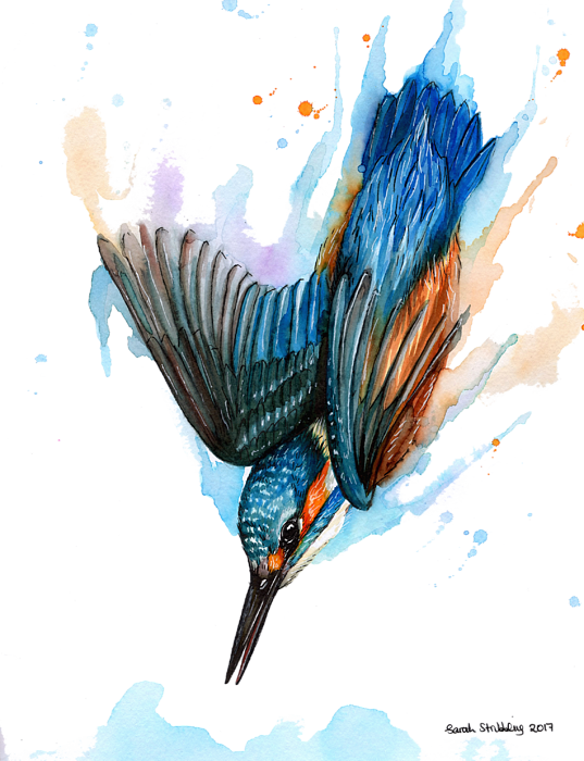 Bleed Area May Not Be Visible - Swallow (537x700)