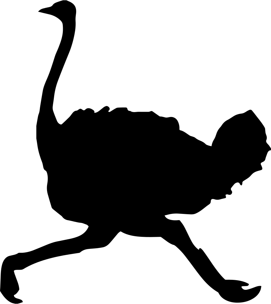 Png File Svg - Ostrich Silhouette (876x982)