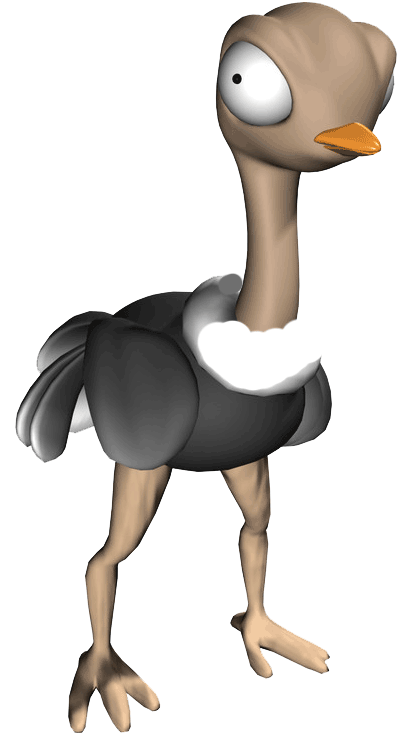 Common Ostrich Duck Bird Cartoon - Common Ostrich (1024x768)