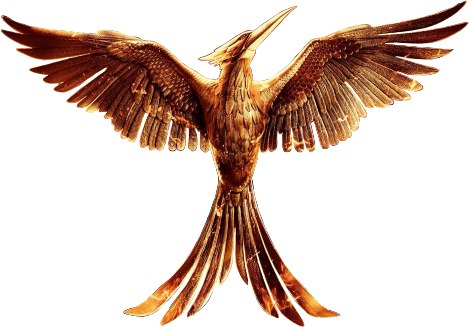 Allheartsgoboom The Hunger Games - Hunger Games Mockingjay Bird (1024x1024)
