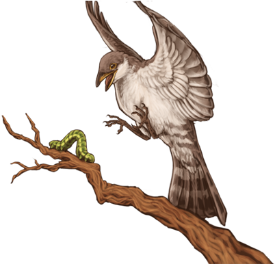 A Thick-billed Cuckoo Is Trying To Catch A Caterpillar - Illustration (640x385)