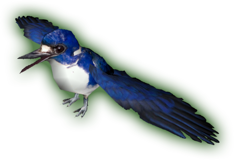 Posted Image - Mountain Bluebird (500x500)