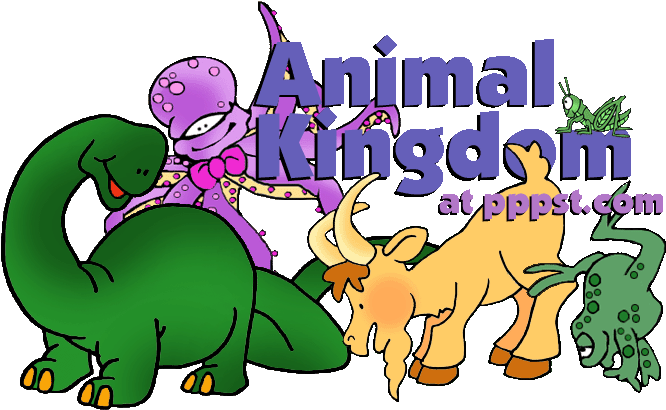 The Animal Kingdom And Classification Free Printables- - Animal Kingdom Theme For Kindergarten (711x427)