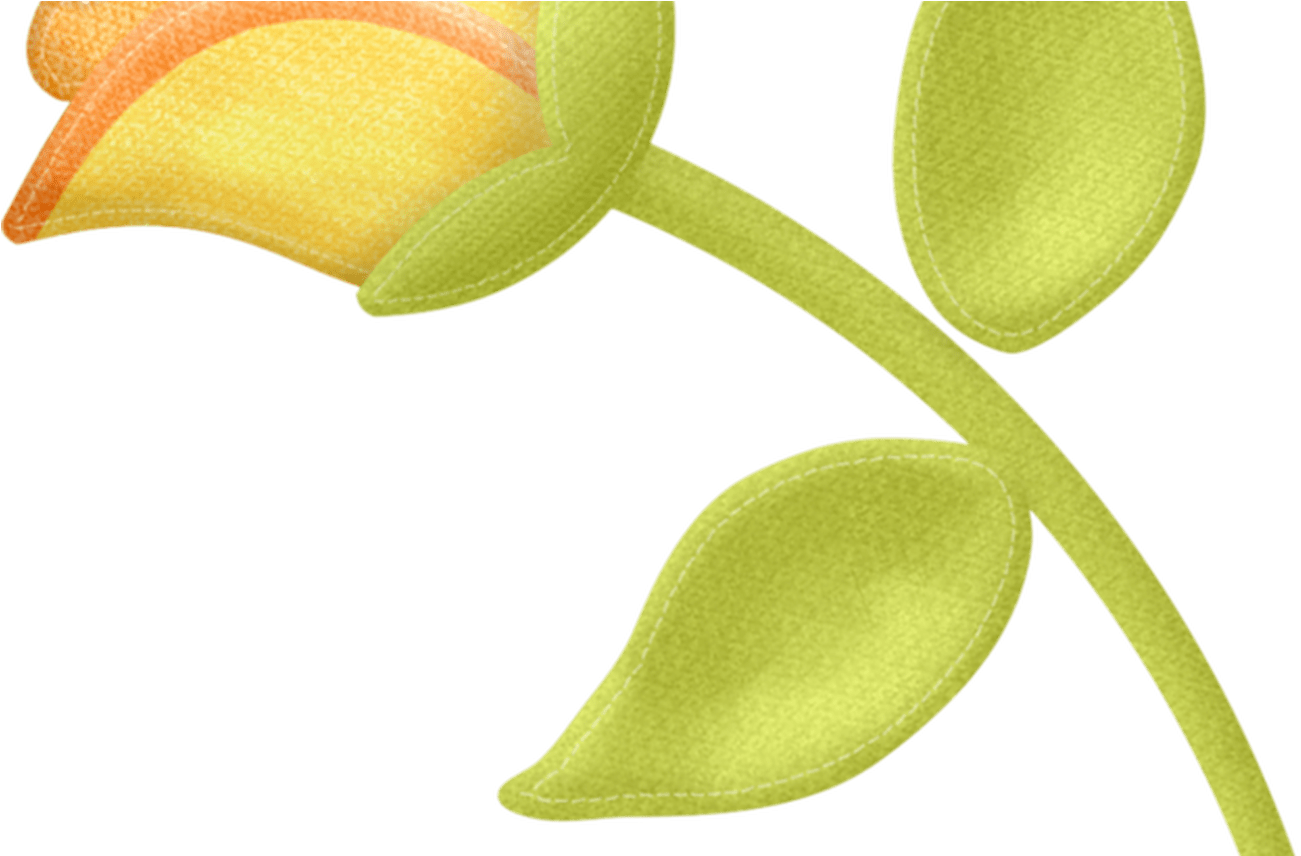 One Birdie Lane Flores Pinterest Craft - Maidenhair Tree (1368x855)