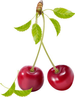Cherry Realistic Vector Pack Free Download Transparent - Cherry Vector (1200x628)