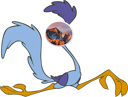How Do I Make Macos Sierra Faster - Road Runner Looney Tunes (500x384)