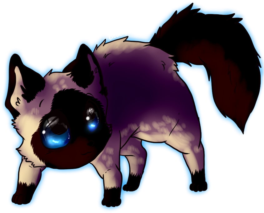 Siamese Cat Kawaii By Lizheru - Kawaii Siamese Cat (894x894)