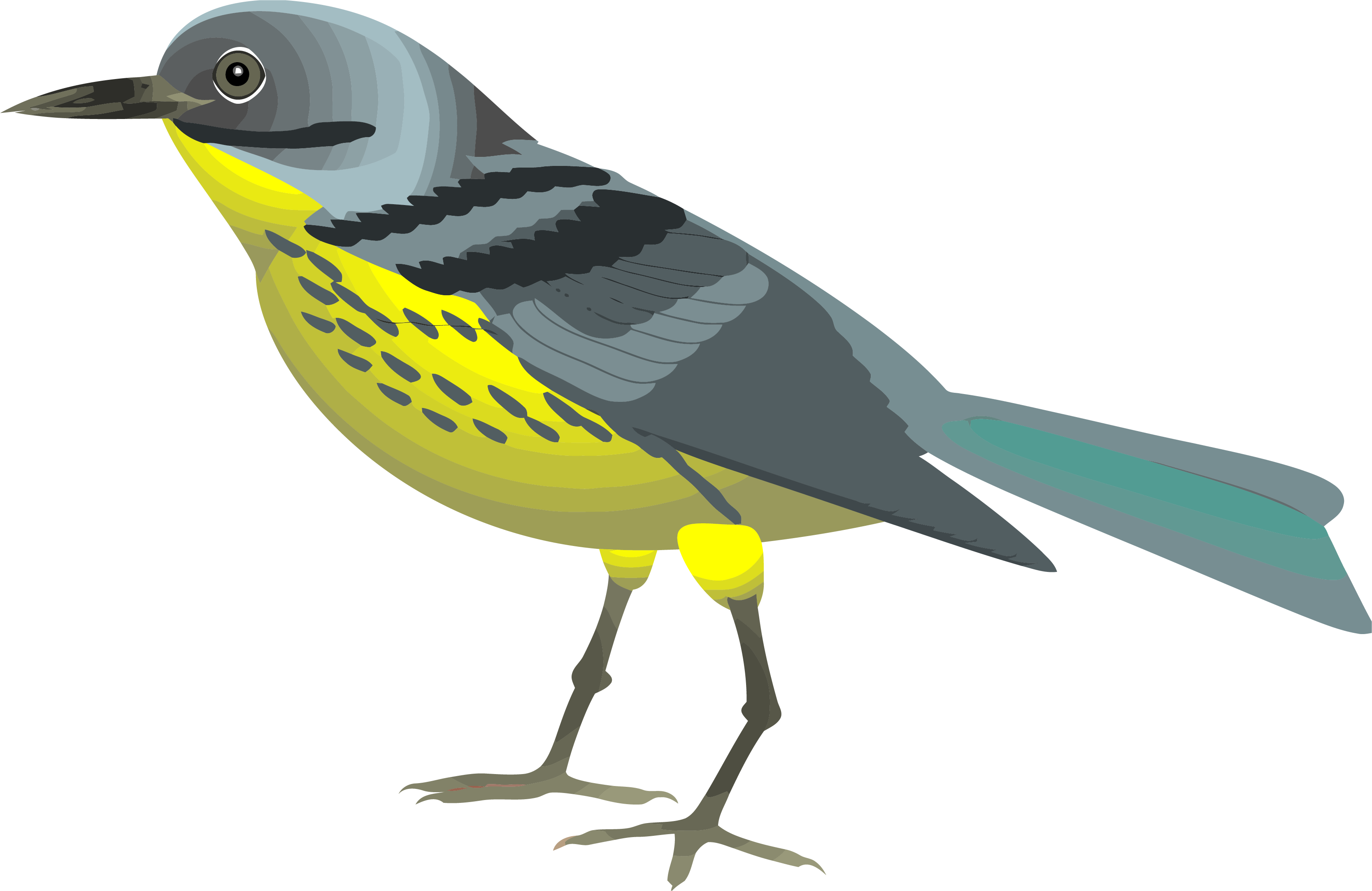 Finch Clipart Golden Bird - Bird Clipart (3334x2164)