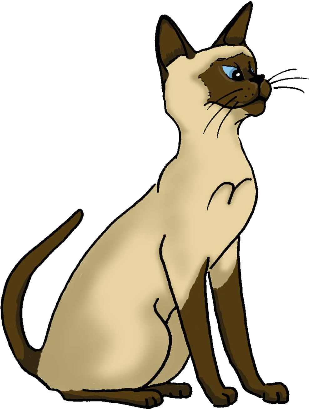 Sitting Siamese Cartoon By Lynn Buchanan - Siamese (1092x1448)