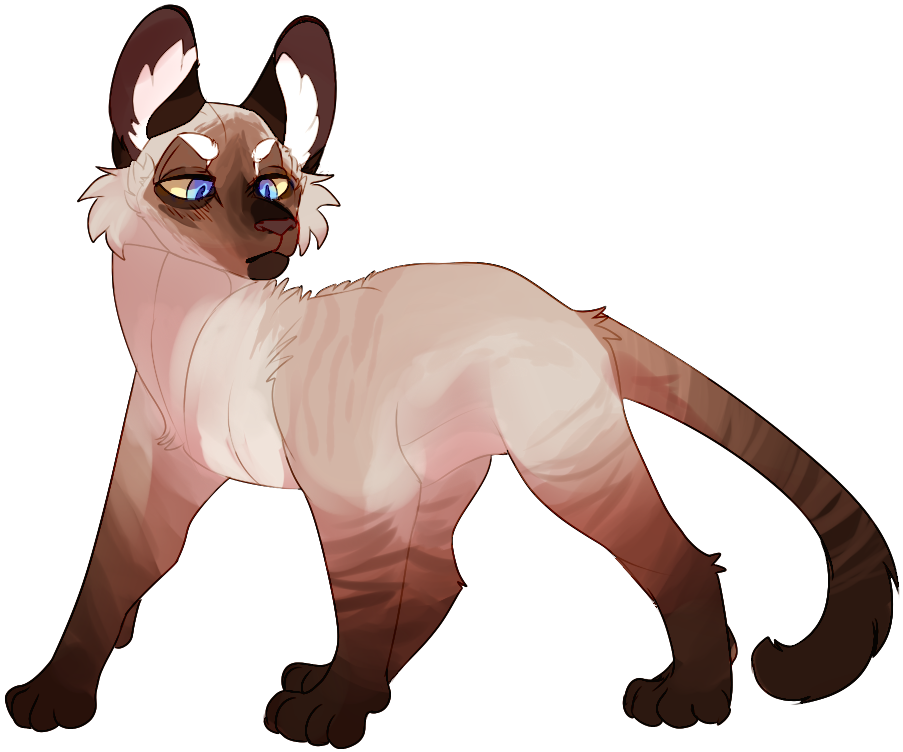 Aspenfrost By Dragonwarriorcat - Puma (1000x800)