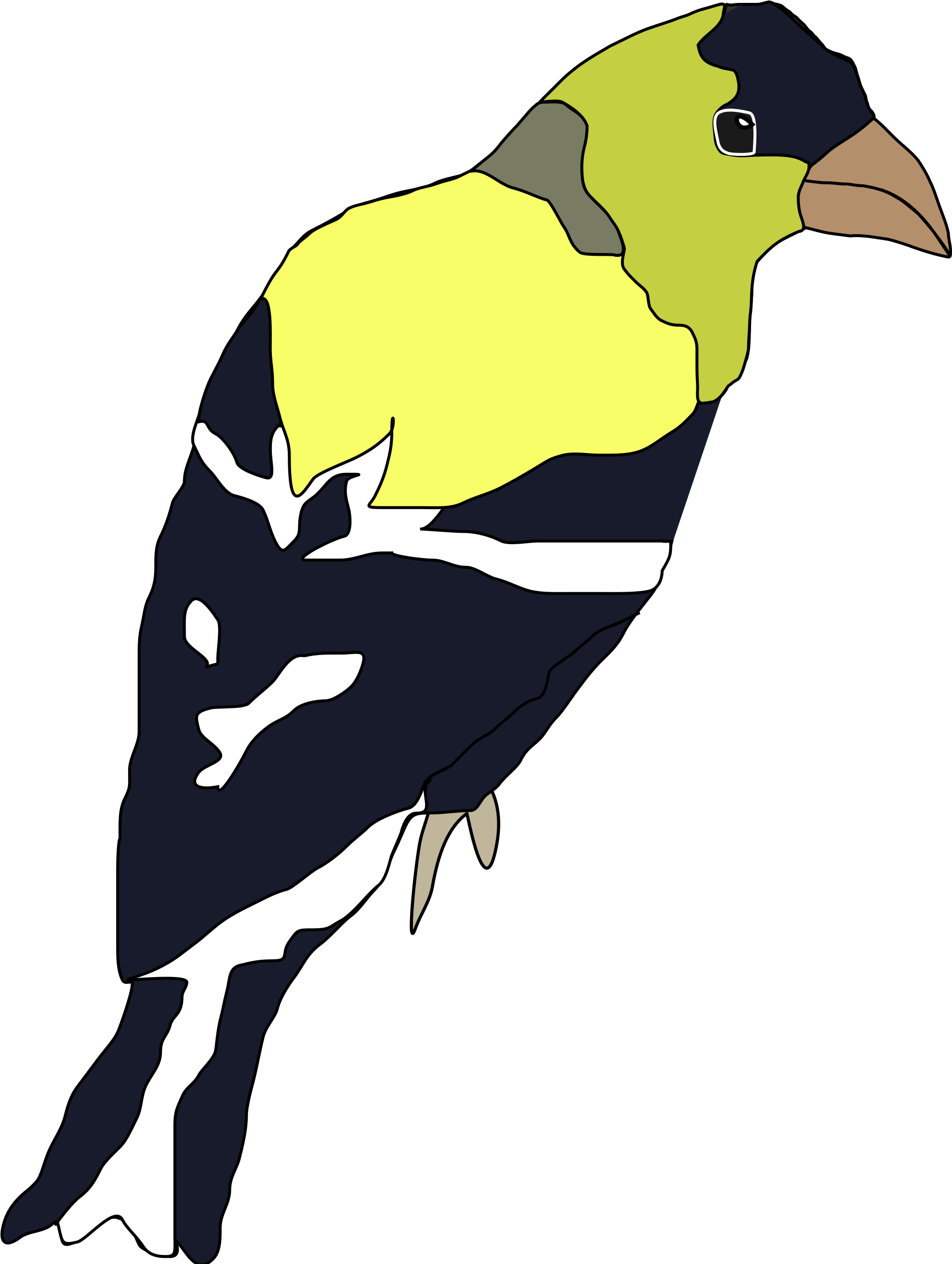 American Goldfinch Cliparts 9, Buy Clip Art - Illustration (2000x2633)