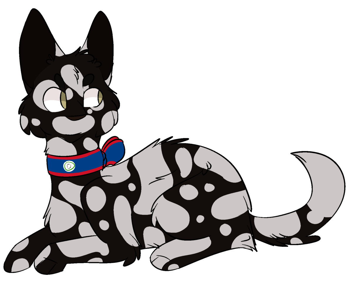 Belarus Kurilian Bobtail Belgium Chausie Belize - Cartoon (1280x1280)