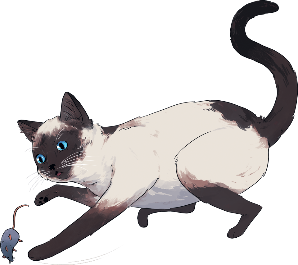 With An Oral Pill With Cats Giving Revolution Each - Siamese (960x853)