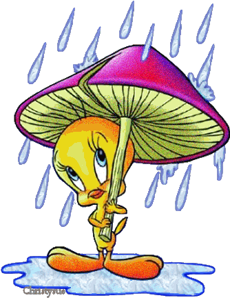 Cartoons In The Rain (550x500)
