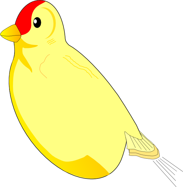 Bird Without Wings Clip Art (582x595)