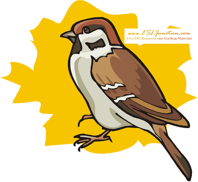 Sparrow - Winter Animal Coloring Pages (654x600)