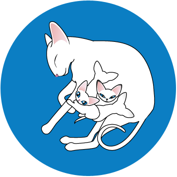 Breeding Foreign White - Foreign White (355x355)