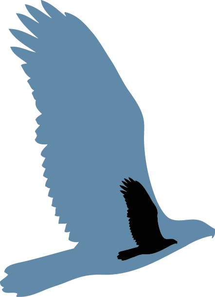 Scars Of War Foundation Was Established In December - Hawk (442x611)
