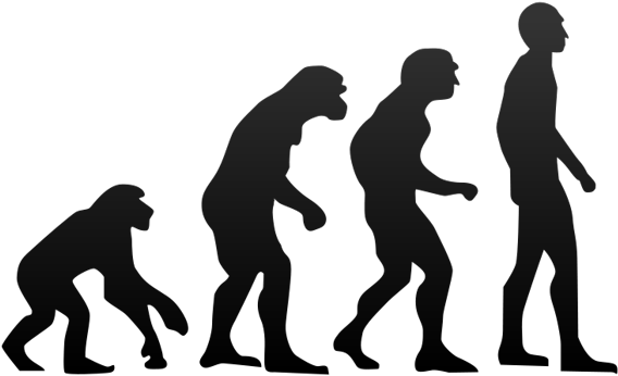 Humans Will Become Faster And Stronger As Evolution - Human Evolution Png (621x414)