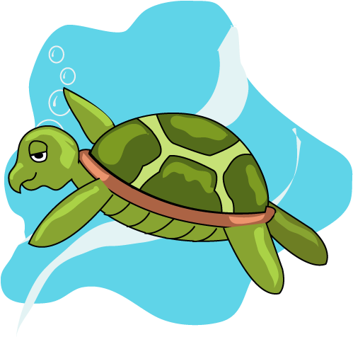 Turtles Are A Mixed Key Stage 2 Class - Special School (500x500)